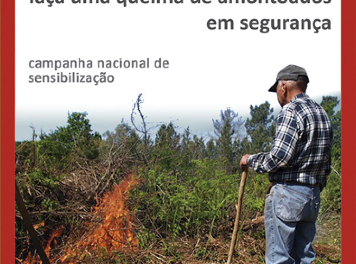 Queimas e queimadas
