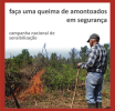 Queimas e queimadas